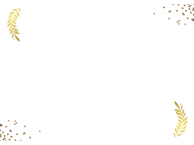 Daniel's Weeks Timeline 1