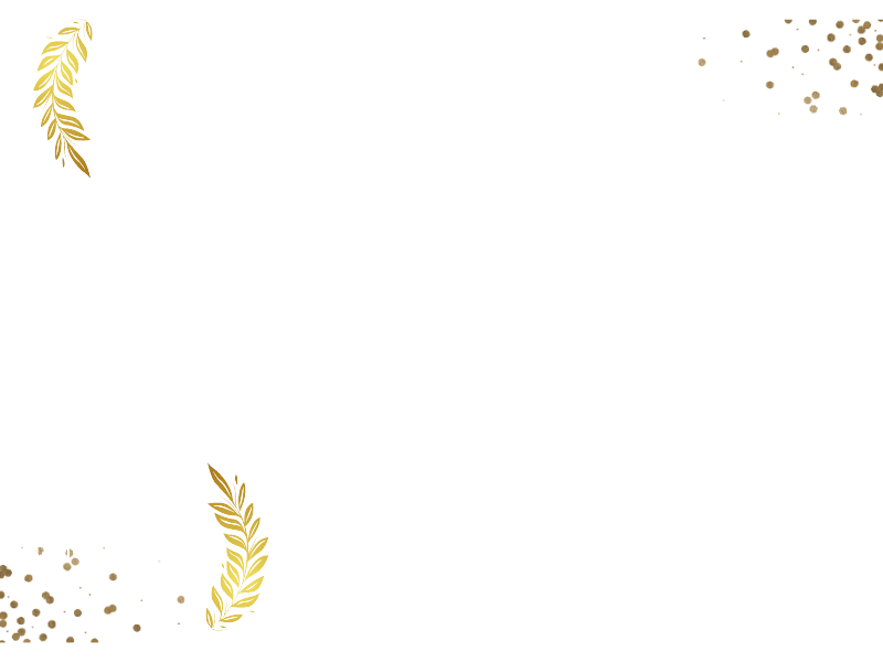 Daniel's Weeks Timeline 2